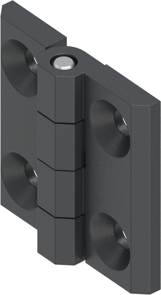 Cerniera 180°, acciaio inox AISI 316 nero grafite verniciato a polvere