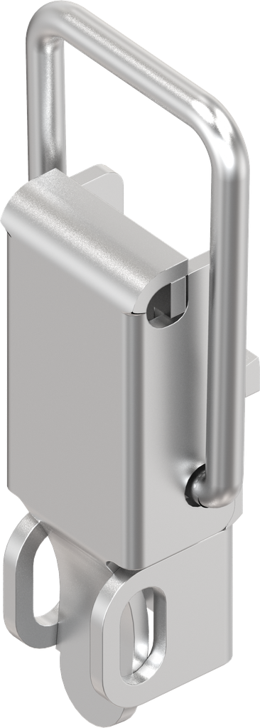 Spanslot met spanbeugel met oog voor hangslot, zonder montagegaten, RVS 304