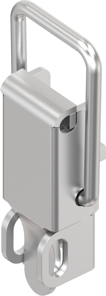 Spanslot met spanbeugel met oog voor hangslot, zonder montagegaten, RVS 304