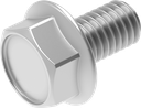 vis crantée M6 x 10, inox AISI 303