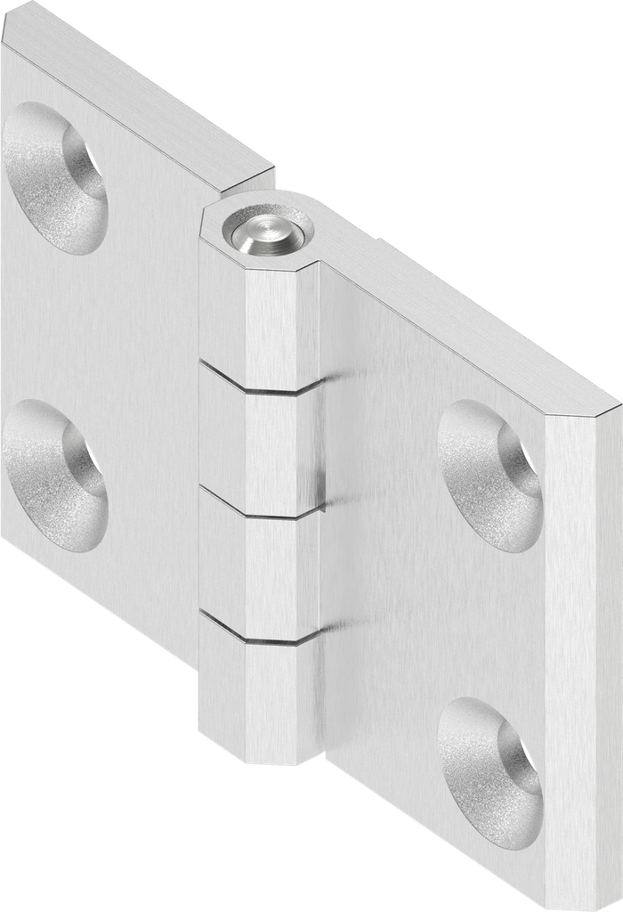 Cerniera 270°, acciaio inox AISI 316 spazzolato