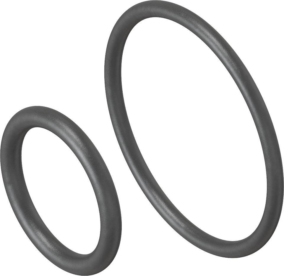 Set di O-ring per rosetta schiumata, perbuna