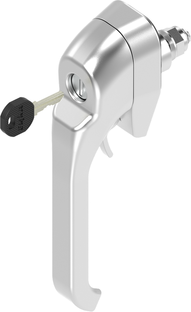 Chiusura a leva chiave EK 333 e per lucchetto, acciaio inox AISI 316