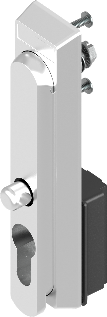 Maniglia girevole per lucchetto e profilo mezzo-cilindro 40 mm (A = 30 mm), acciaio inox AISI 316