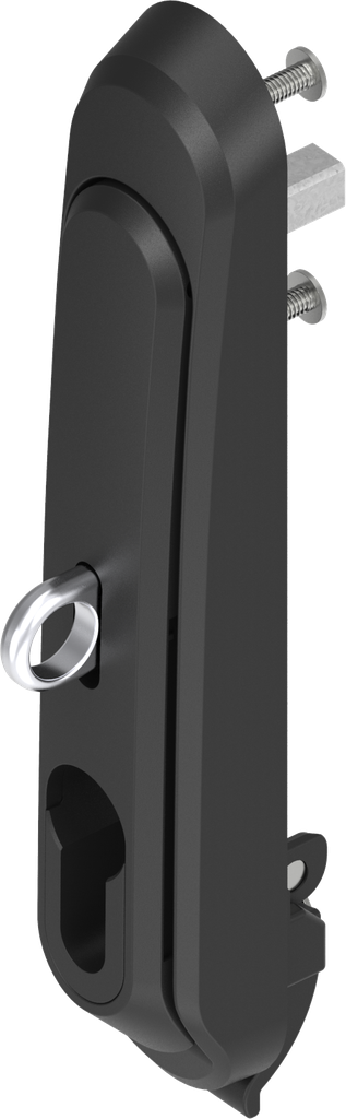 Zwenkgreep met haak en module voor profiel-halfcilinder 40 mm (A = 30 mm) en voor hangslot, polyamide GF zwart