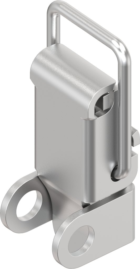 Spanslot met spanbeugel met oog voor hangslot, met montagegaten, RVS 304